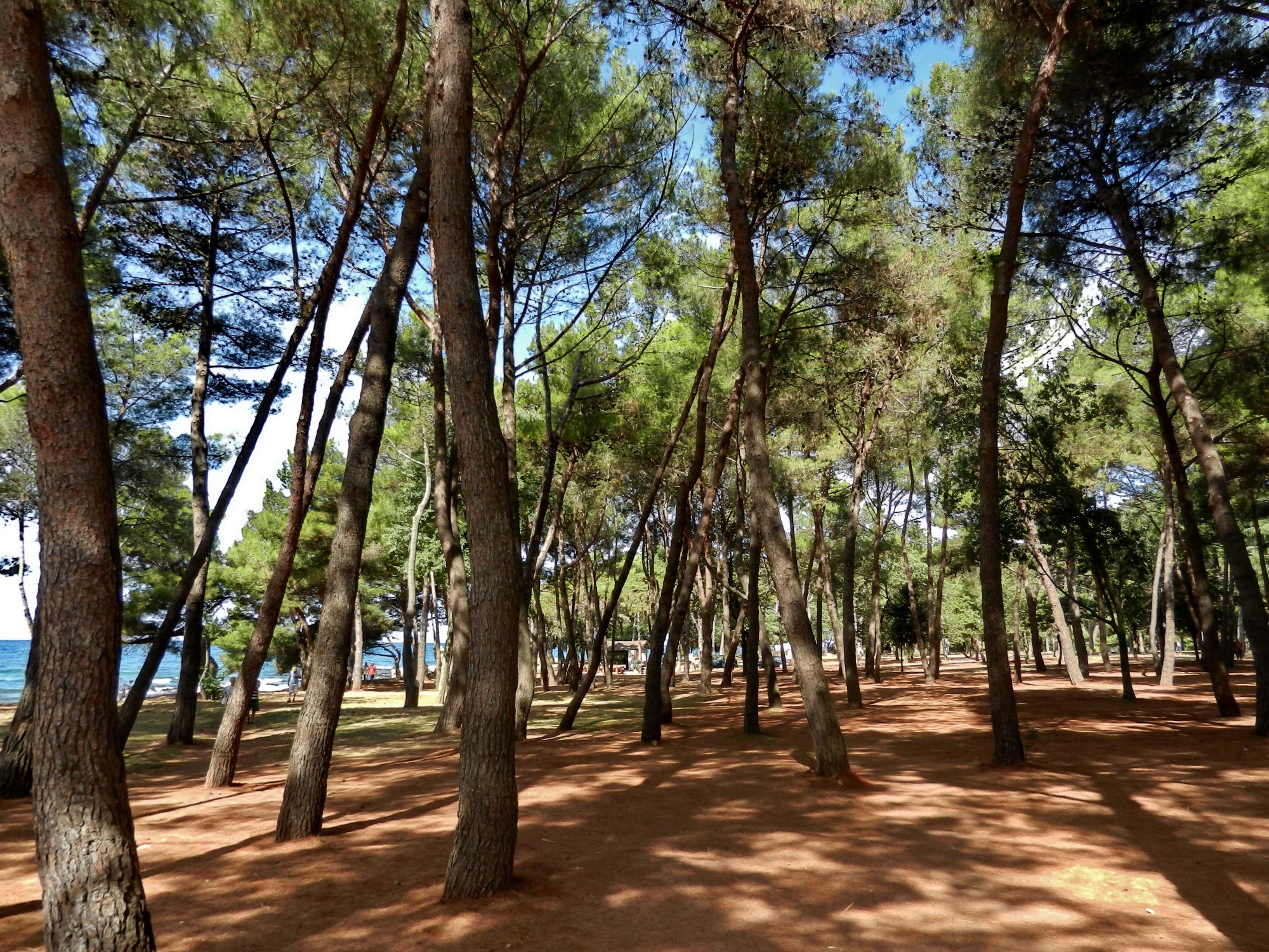 Porec
